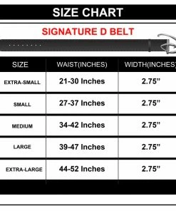 Buckle-Down Disney Signature D Logo Silver Cast Buckle - Black Strap Belt