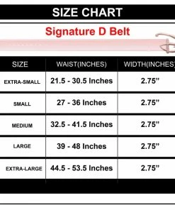 Buckle-Down Disney Signature D Logo Rose Gold Cast Buckle - Pink Strap Belt